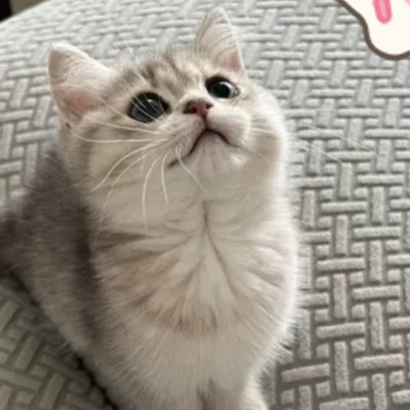 7h