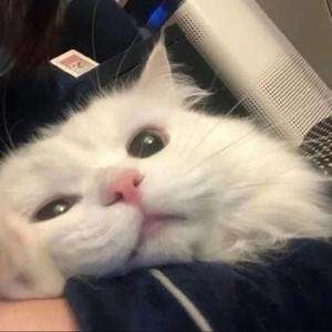 难烤的地瓜^