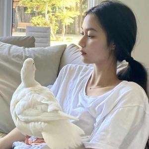 开心薯条