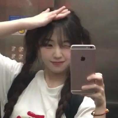 seo不动了