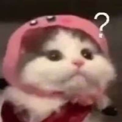 不是小康