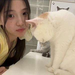 猪猪